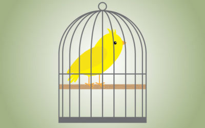 What’s a warrant canary?