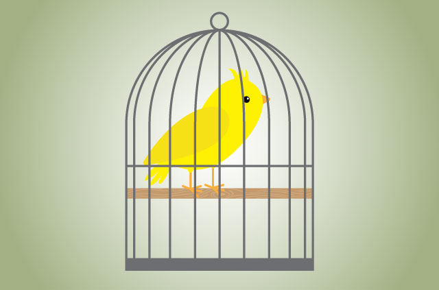 What’s a warrant canary?