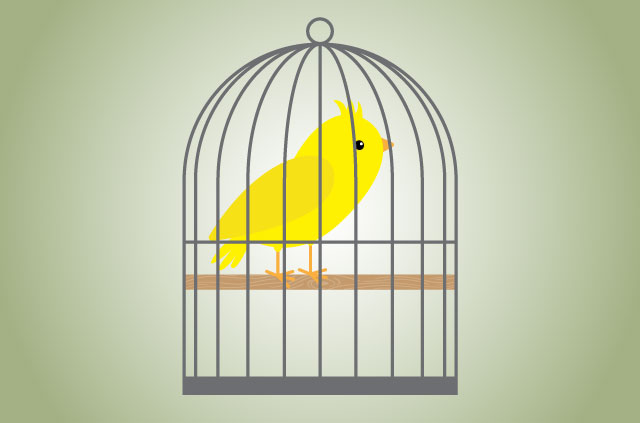 What is a warrant canary?